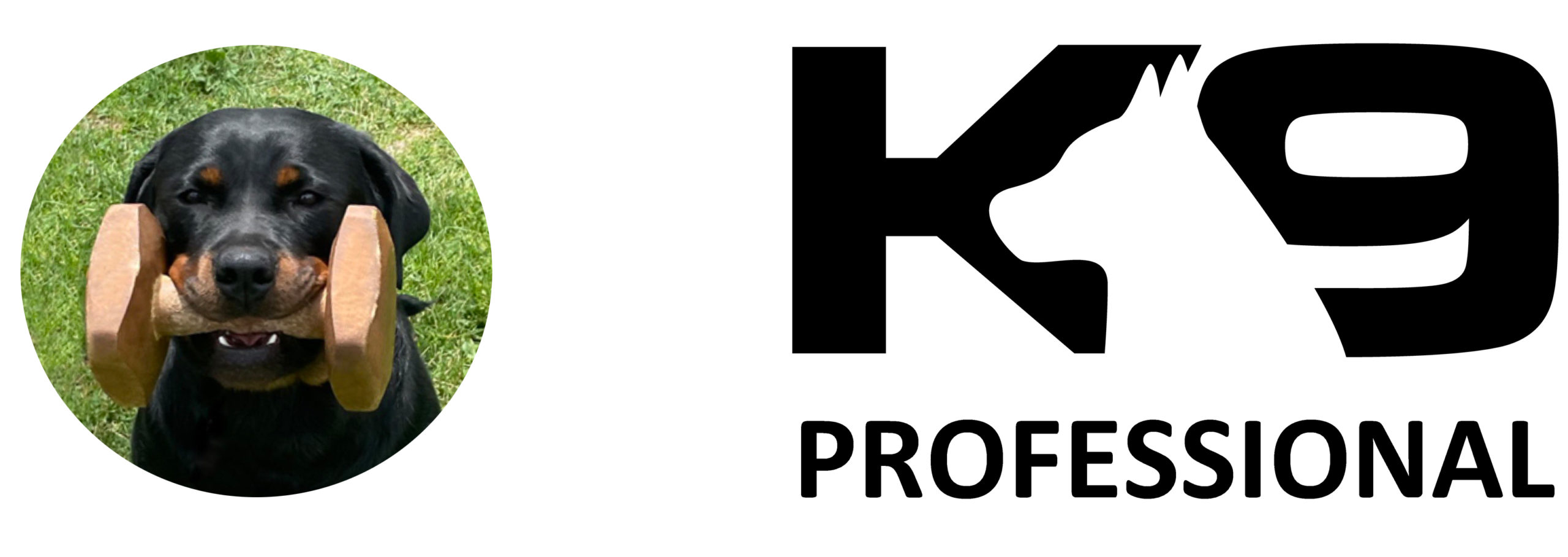 Home K9 Professional