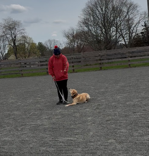 Photo from customer review