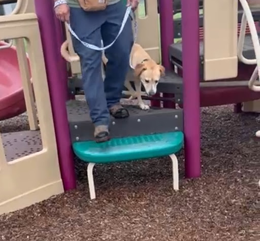 Photo from customer review