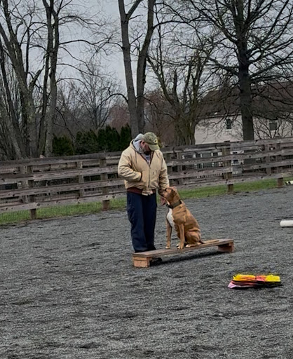 Photo from customer review