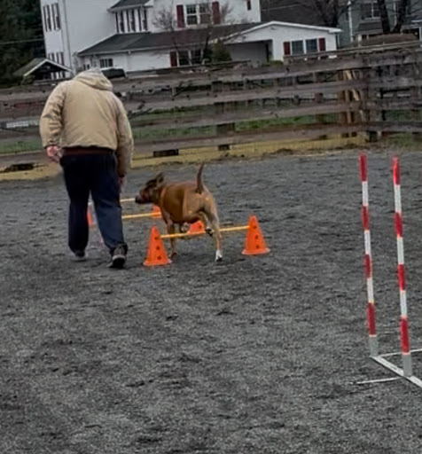 Photo from customer review