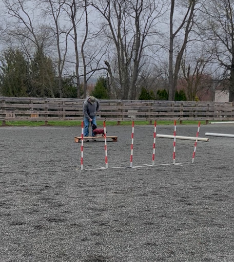 Photo from customer review