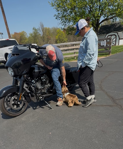 Photo from customer review