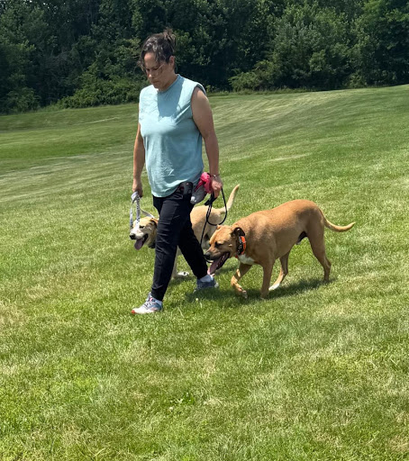 Photo from customer review