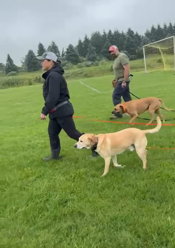 Photo from customer review