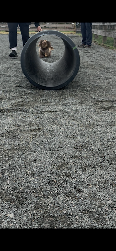 Photo from customer review