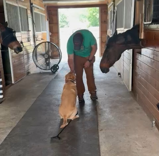 Photo from customer review