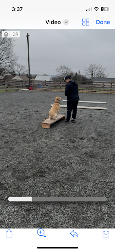 Photo from customer review