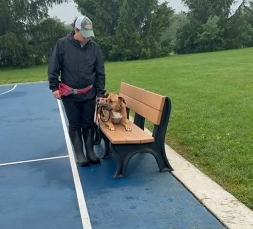 Photo from customer review