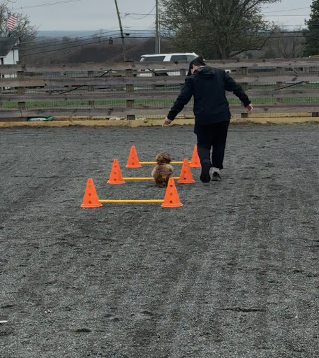 Photo from customer review