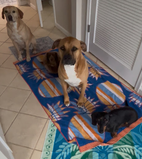 Photo from customer review