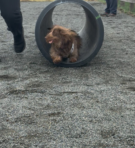 Photo from customer review