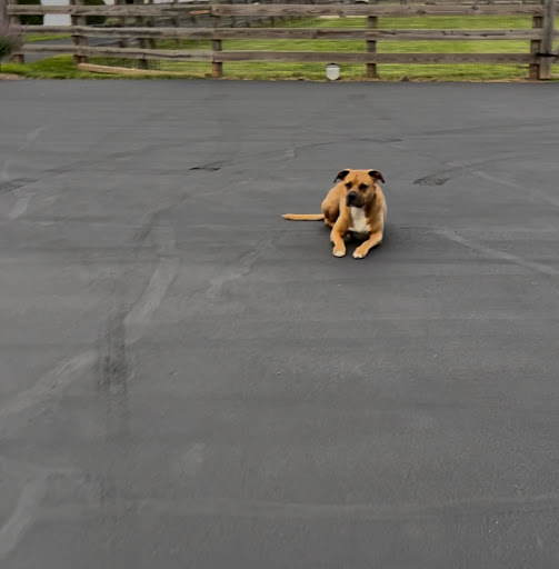 Photo from customer review