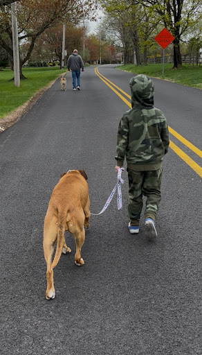 Photo from customer review