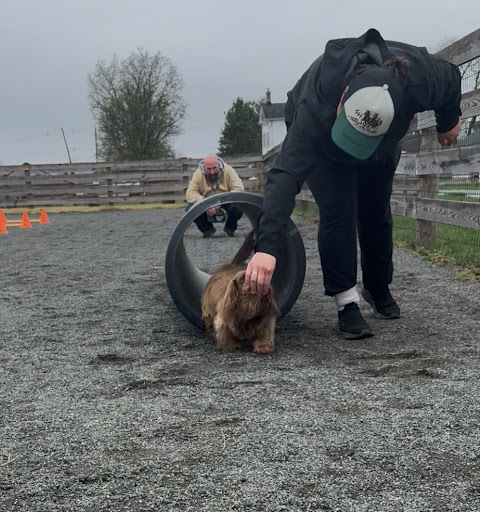 Photo from customer review