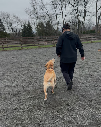 Photo from customer review