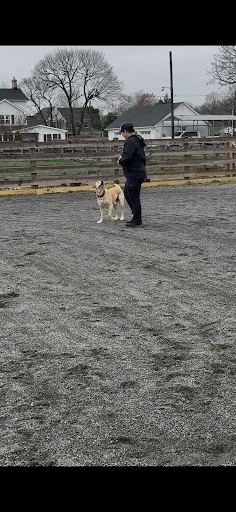 Photo from customer review