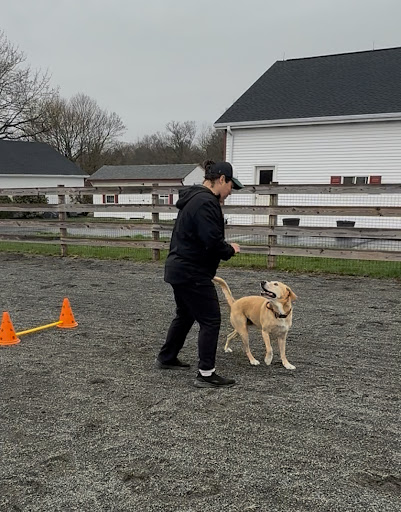 Photo from customer review