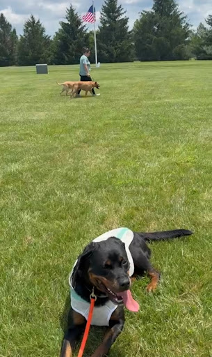 Photo from customer review