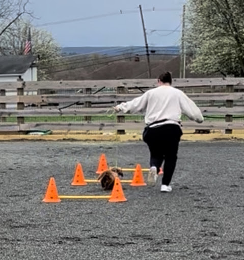 Photo from customer review