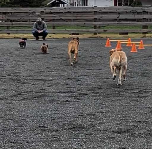 Photo from customer review