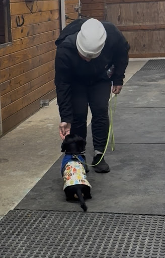 Photo from customer review