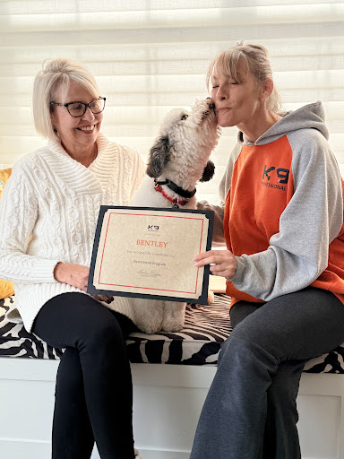 Photo from customer review